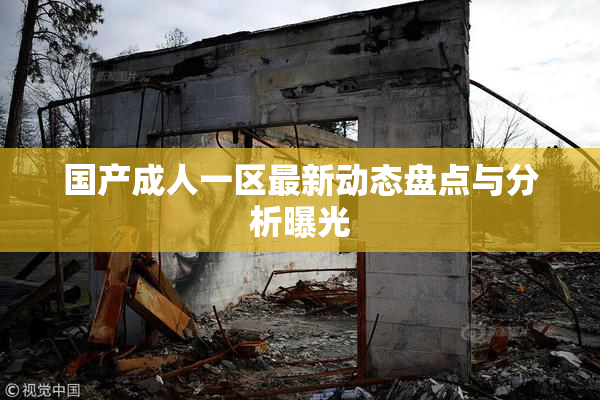 国产成人一区最新动态盘点与分析曝光