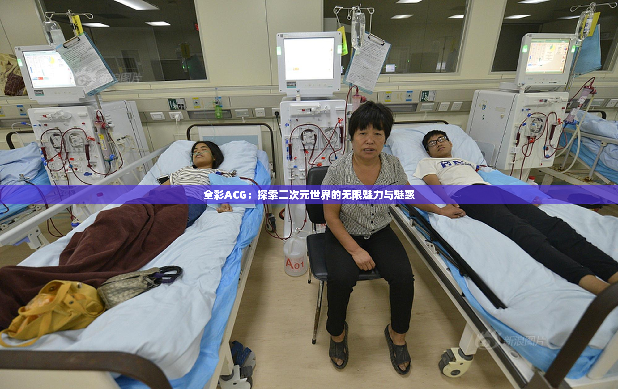 全彩ACG：探索二次元世界的无限魅力与魅惑