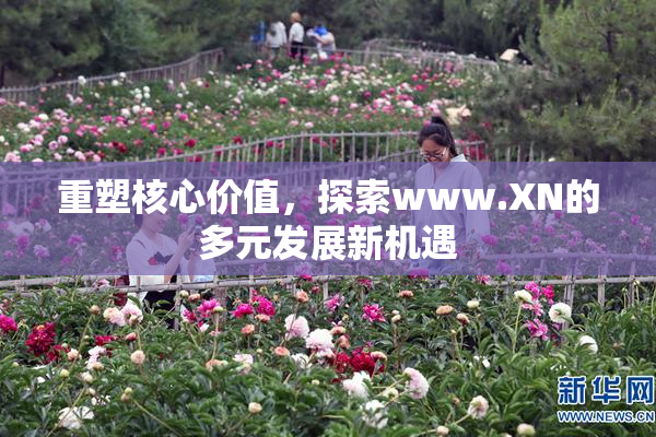 重塑核心价值，探索www.XN的多元发展新机遇