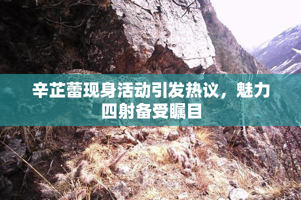 辛芷蕾现身活动引发热议，魅力四射备受瞩目