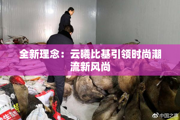 全新理念：云曦比基引领时尚潮流新风尚