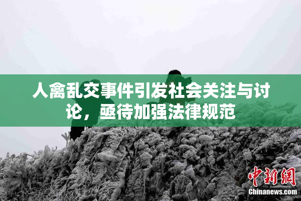 人禽乱交事件引发社会关注与讨论，亟待加强法律规范