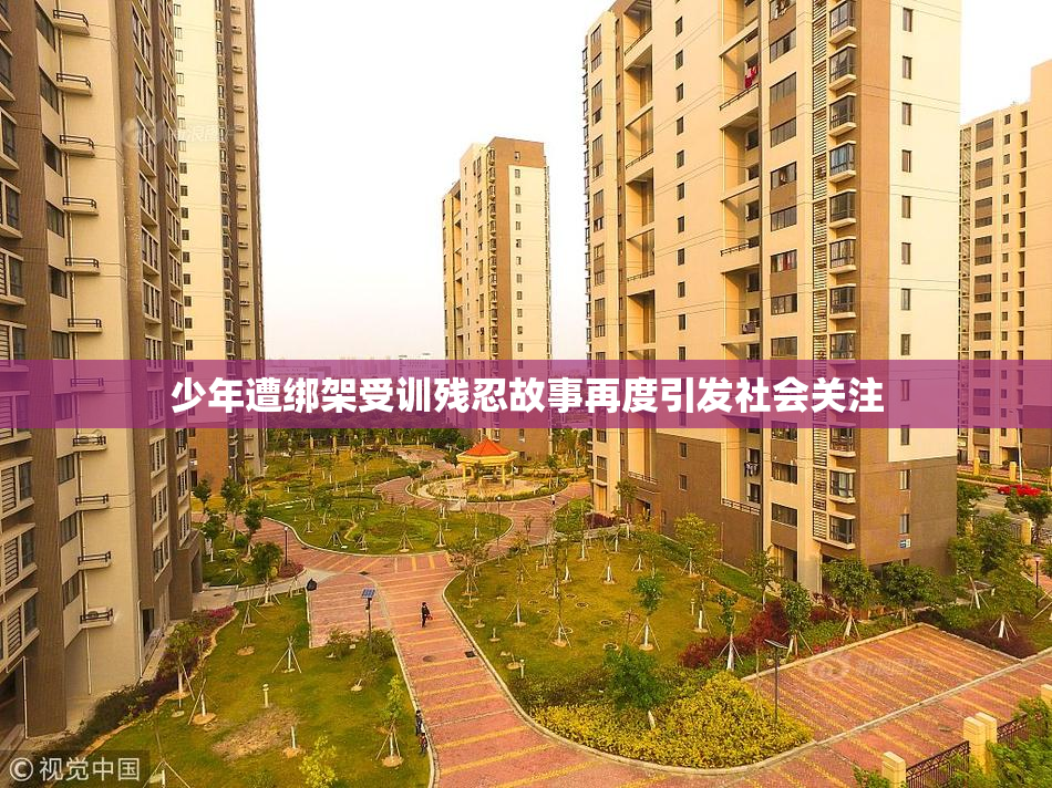 少年遭绑架受训残忍故事再度引发社会关注