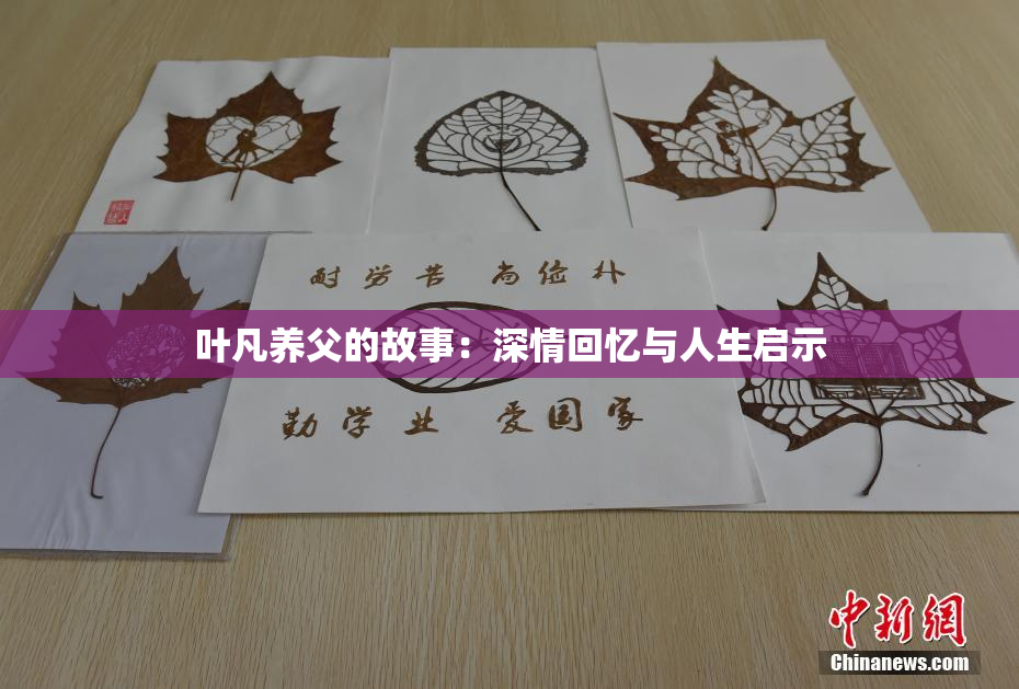 叶凡养父的故事：深情回忆与人生启示