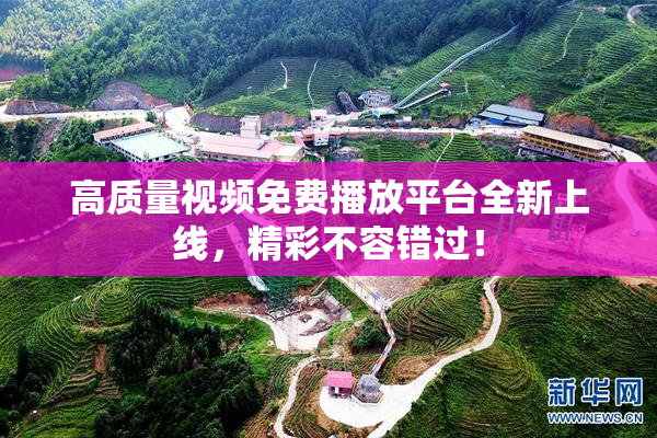 高质量视频免费播放平台全新上线，精彩不容错过！