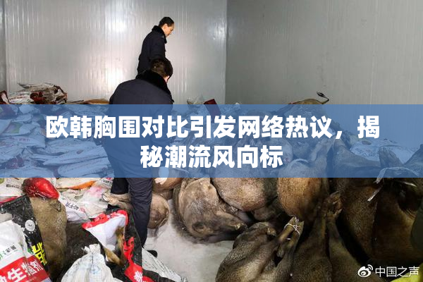 欧韩胸围对比引发网络热议，揭秘潮流风向标