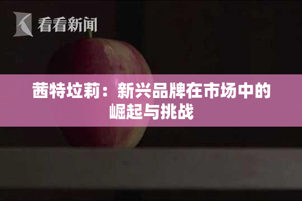 茜特垃莉：新兴品牌在市场中的崛起与挑战