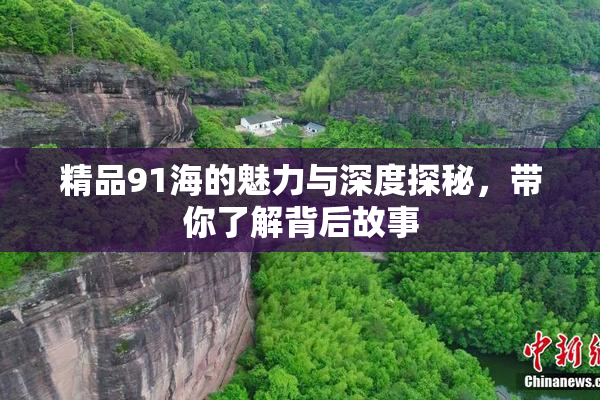 精品91海的魅力与深度探秘，带你了解背后故事