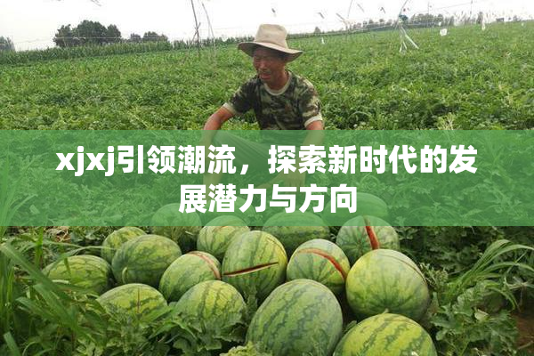 xjxj引领潮流，探索新时代的发展潜力与方向
