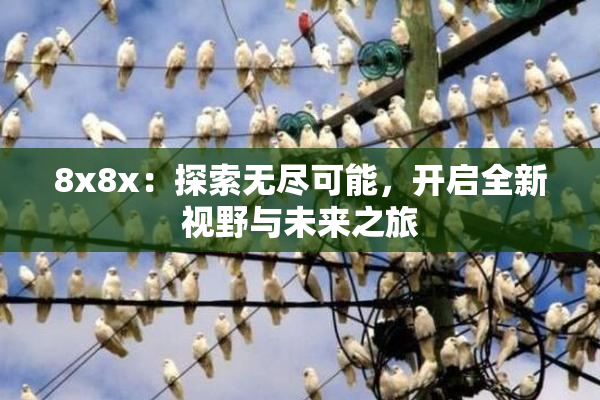 8x8x：探索无尽可能，开启全新视野与未来之旅