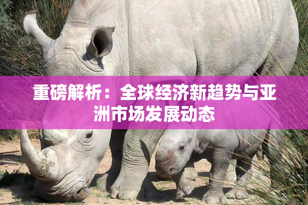 重磅解析：全球经济新趋势与亚洲市场发展动态