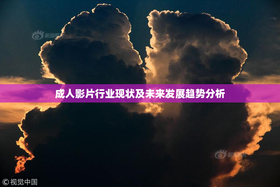 成人影片行业现状及未来发展趋势分析
