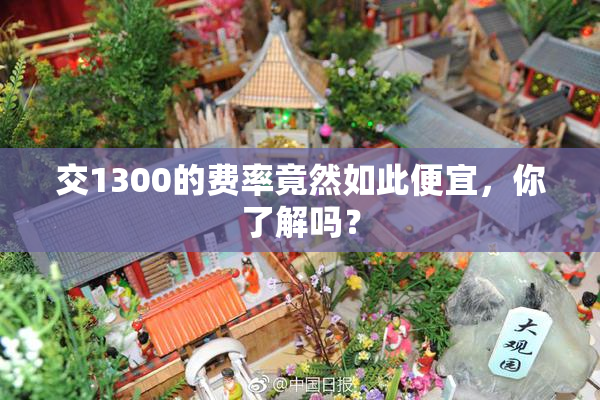 交1300的费率竟然如此便宜，你了解吗？