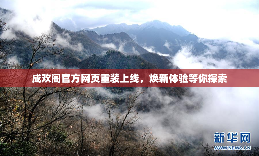 成欢阁官方网页重装上线，焕新体验等你探索