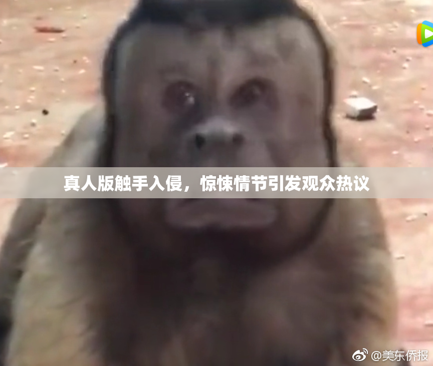 真人版触手入侵，惊悚情节引发观众热议