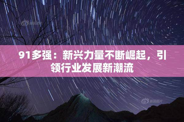 91多强：新兴力量不断崛起，引领行业发展新潮流