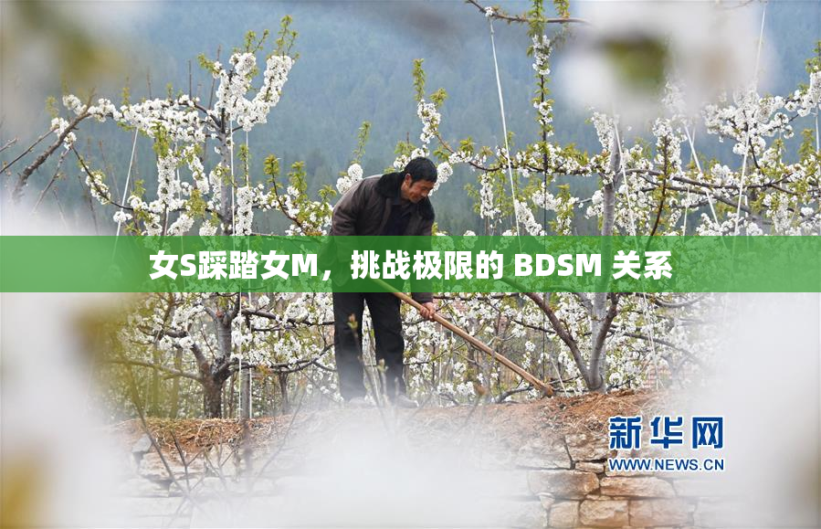 女S踩踏女M，挑战极限的 BDSM 关系