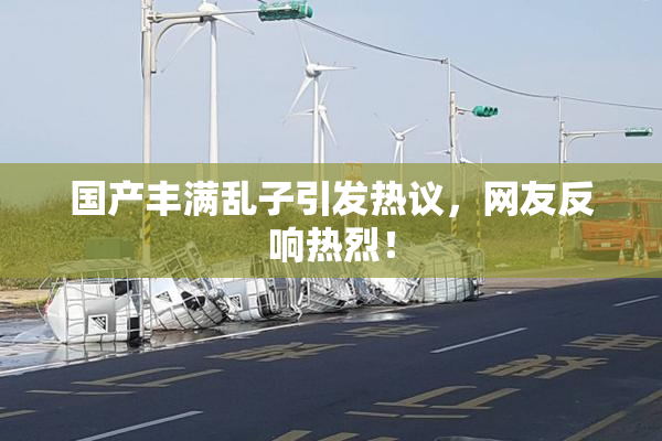 国产丰满乱子引发热议，网友反响热烈！