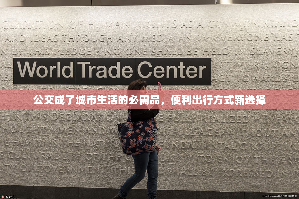 公交成了城市生活的必需品，便利出行方式新选择