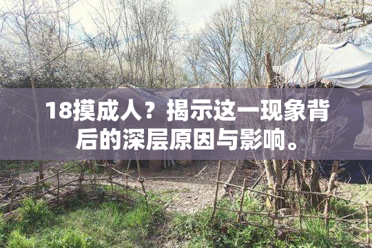 18摸成人？揭示这一现象背后的深层原因与影响。