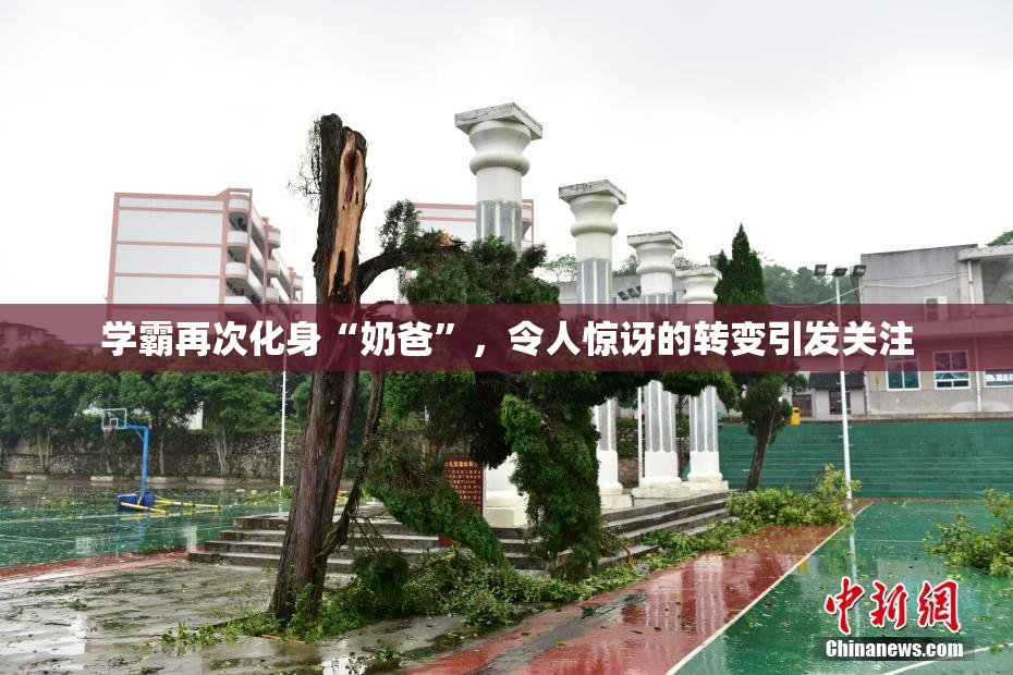 学霸再次化身“奶爸”，令人惊讶的转变引发关注