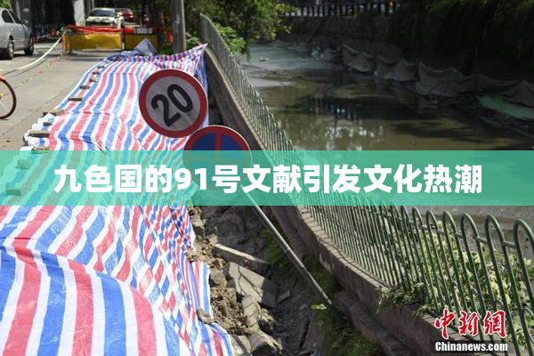 九色国的91号文献引发文化热潮