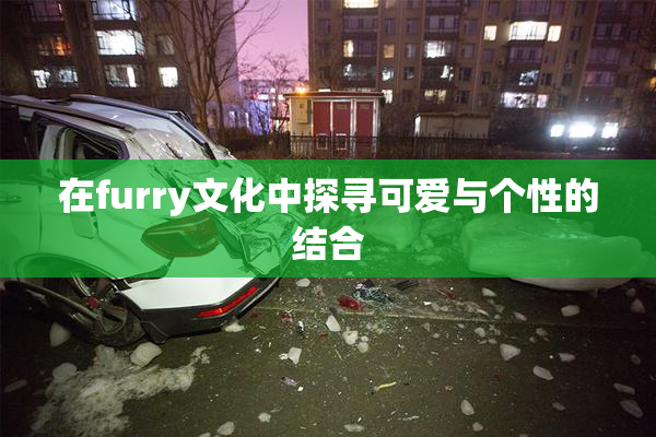 在furry文化中探寻可爱与个性的结合