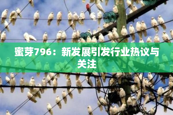 蜜芽796：新发展引发行业热议与关注