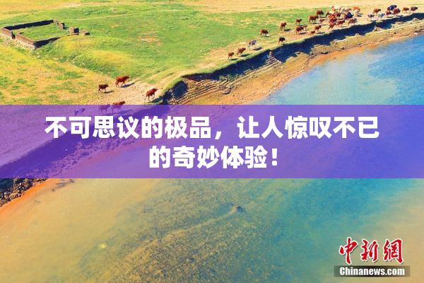 不可思议的极品，让人惊叹不已的奇妙体验！