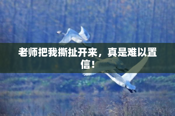 老师把我撕扯开来，真是难以置信！