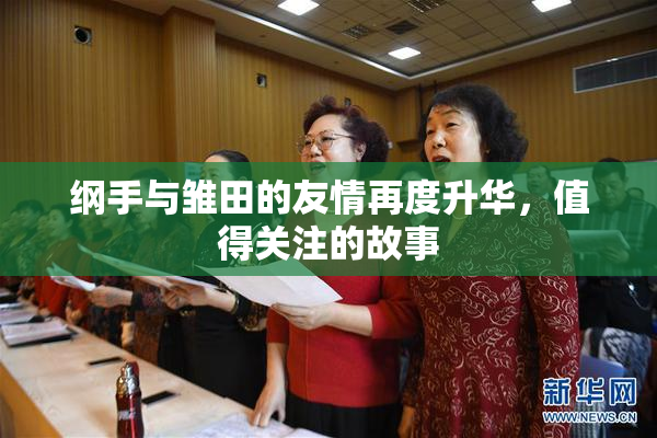 纲手与雏田的友情再度升华，值得关注的故事