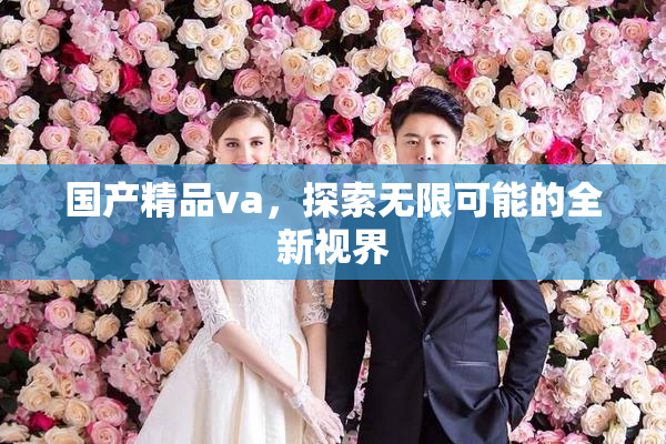 国产精品va，探索无限可能的全新视界
