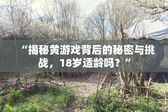 “揭秘黄游戏背后的秘密与挑战，18岁适龄吗？”