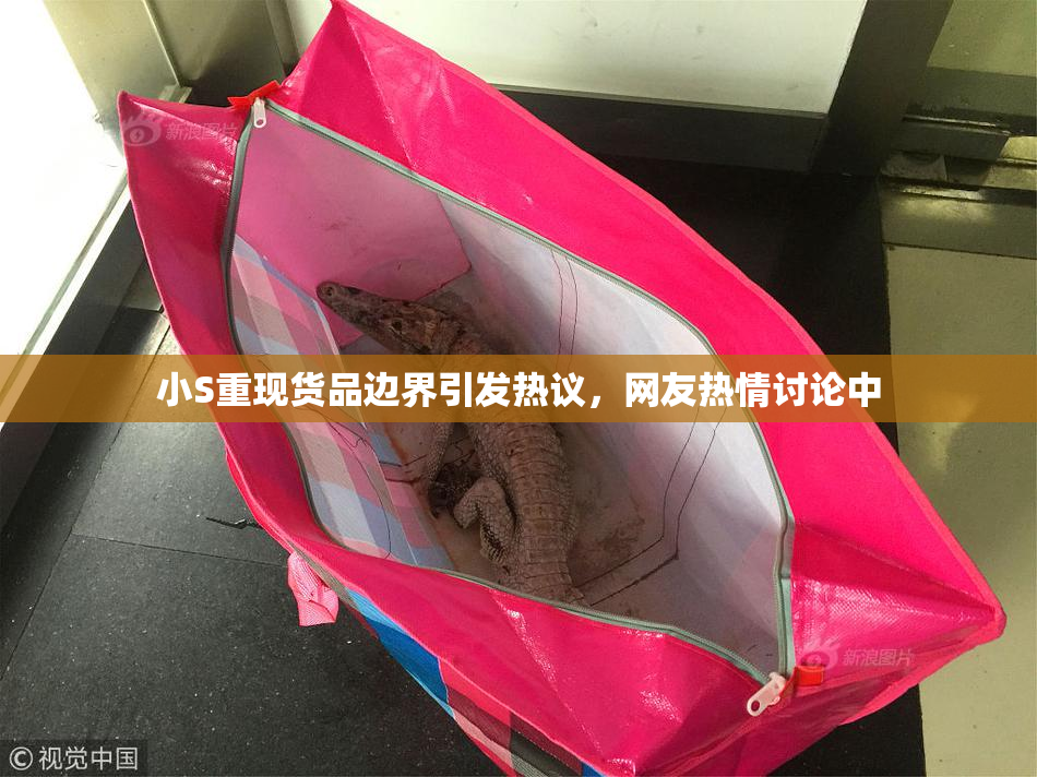 小S重现货品边界引发热议，网友热情讨论中