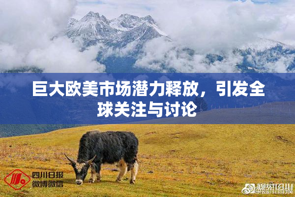 巨大欧美市场潜力释放，引发全球关注与讨论