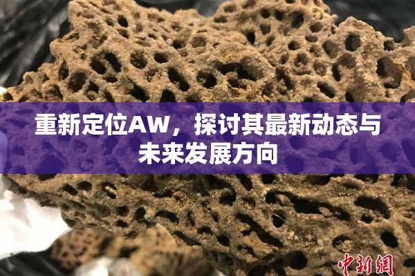 重新定位AW，探讨其最新动态与未来发展方向