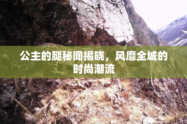 公主的腿秘闻揭晓，风靡全城的时尚潮流