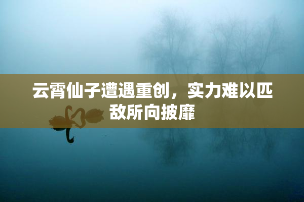 云霄仙子遭遇重创，实力难以匹敌所向披靡