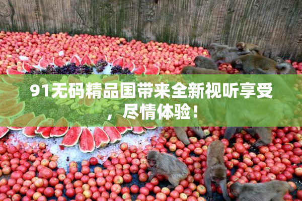 91无码精品国带来全新视听享受，尽情体验！