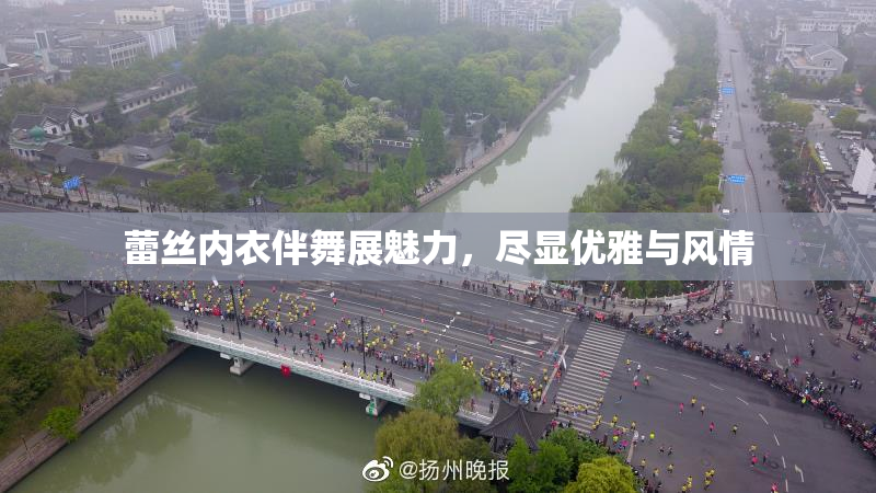 蕾丝内衣伴舞展魅力，尽显优雅与风情