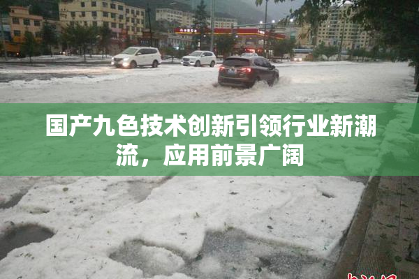 国产九色技术创新引领行业新潮流，应用前景广阔