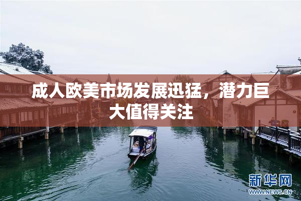 成人欧美市场发展迅猛，潜力巨大值得关注