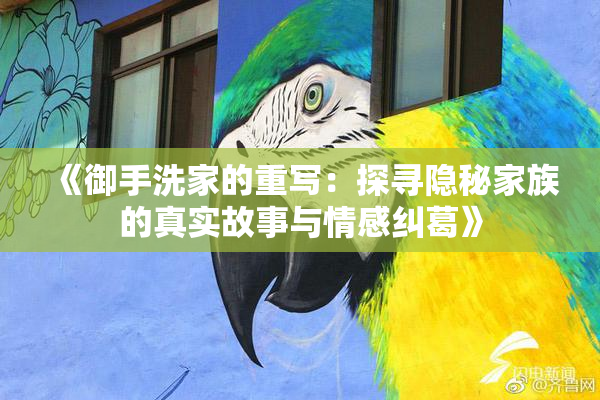 《御手洗家的重写：探寻隐秘家族的真实故事与情感纠葛》