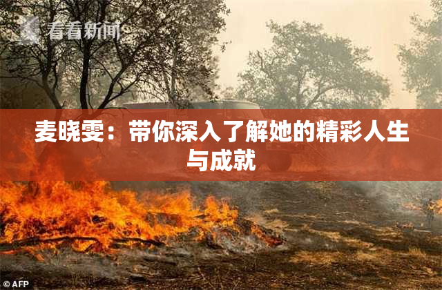 麦晓雯：带你深入了解她的精彩人生与成就