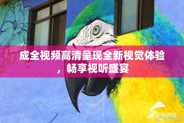 成全视频高清呈现全新视觉体验，畅享视听盛宴