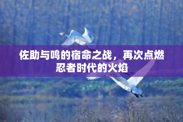 佐助与鸣的宿命之战，再次点燃忍者时代的火焰
