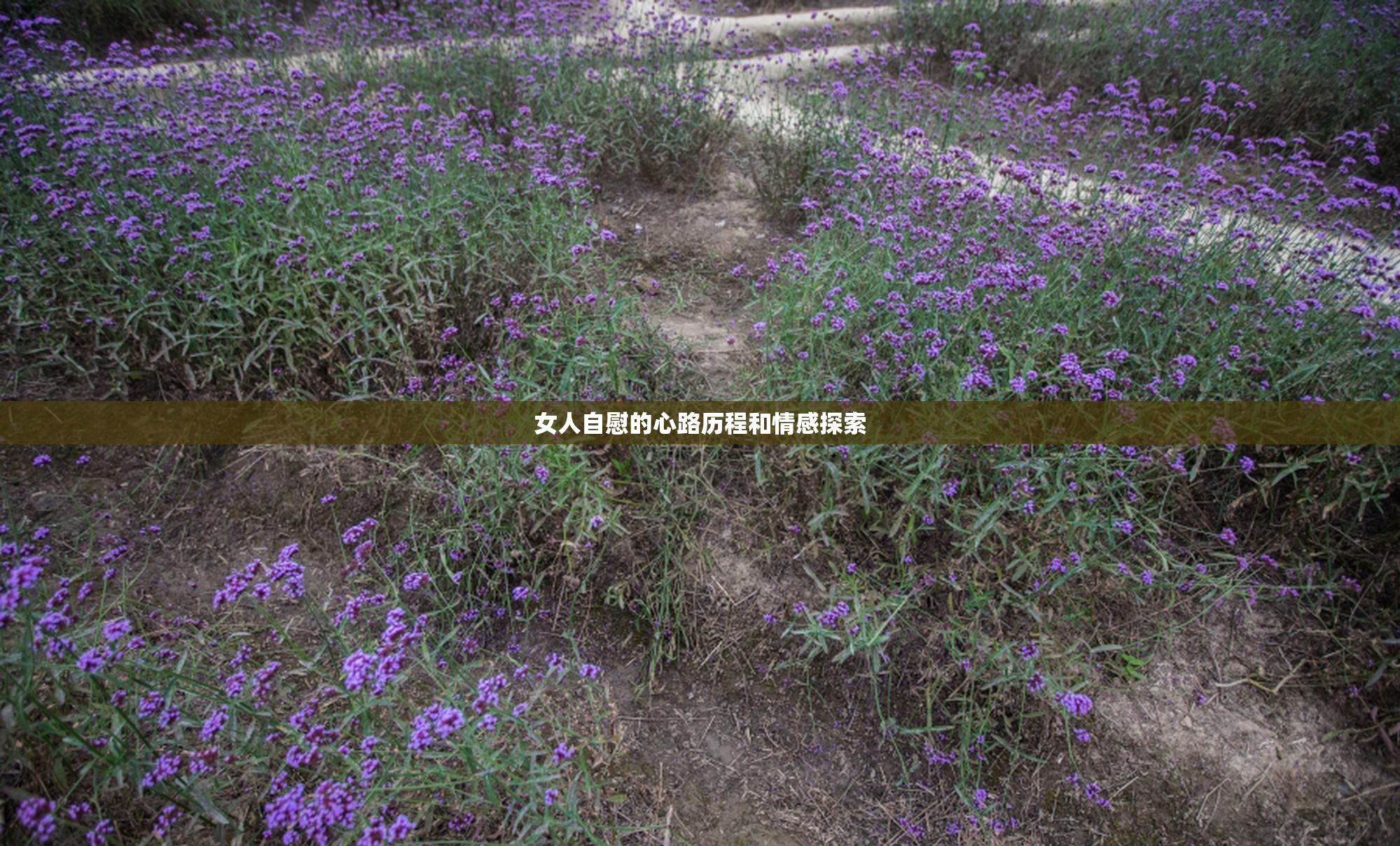 女人自慰的心路历程和情感探索