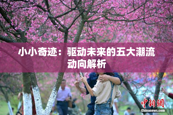 小小奇迹：驱动未来的五大潮流动向解析