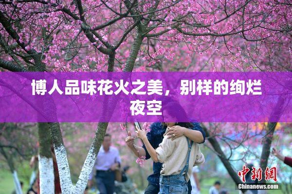 博人品味花火之美，别样的绚烂夜空
