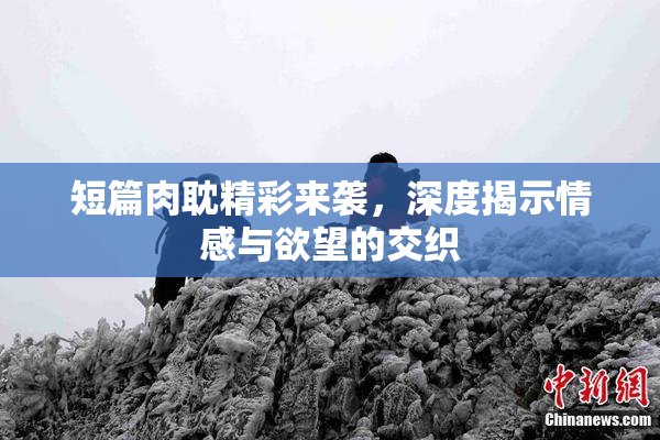 短篇肉耽精彩来袭，深度揭示情感与欲望的交织